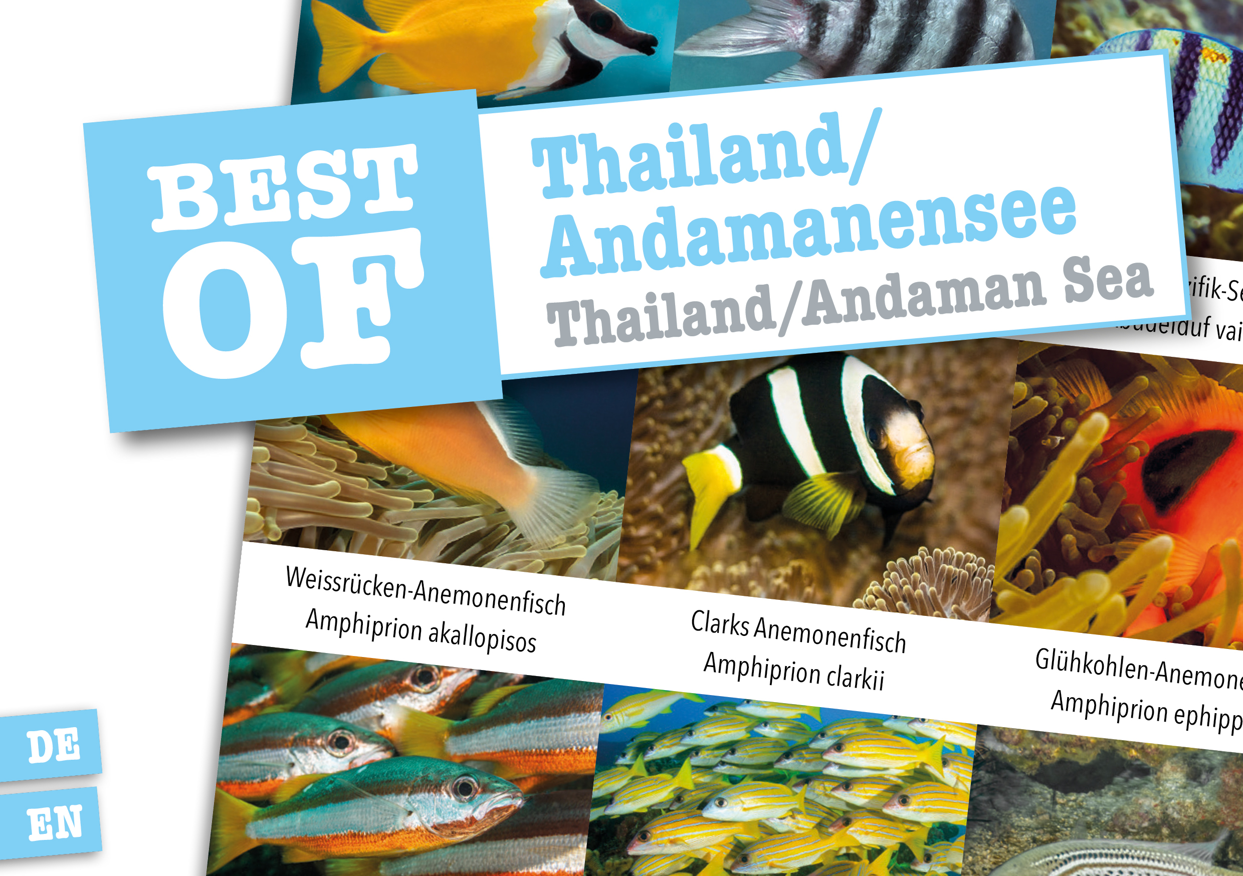 Dive Sticker Thailand/Andamanensee