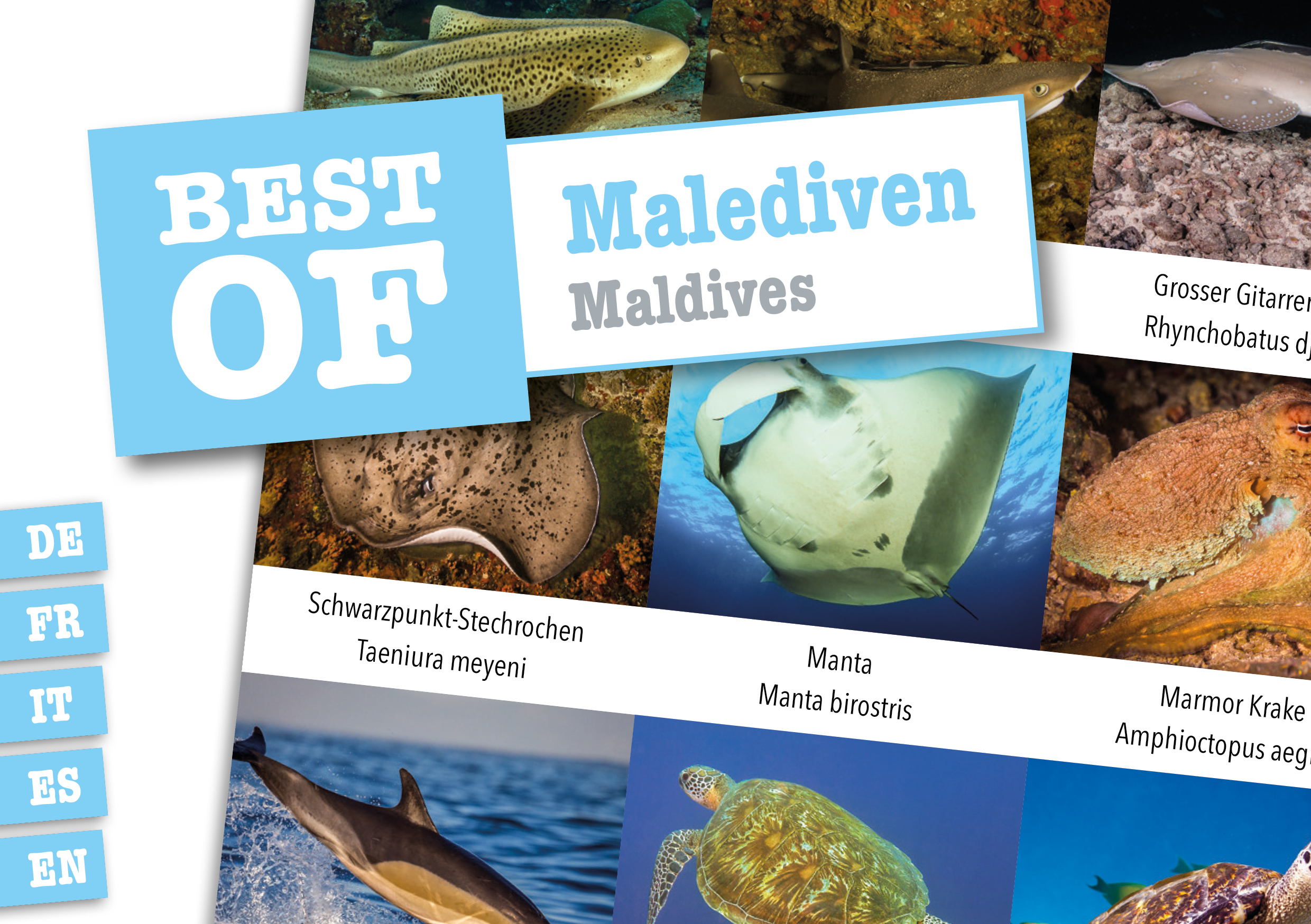 Dive Sticker Malediven
