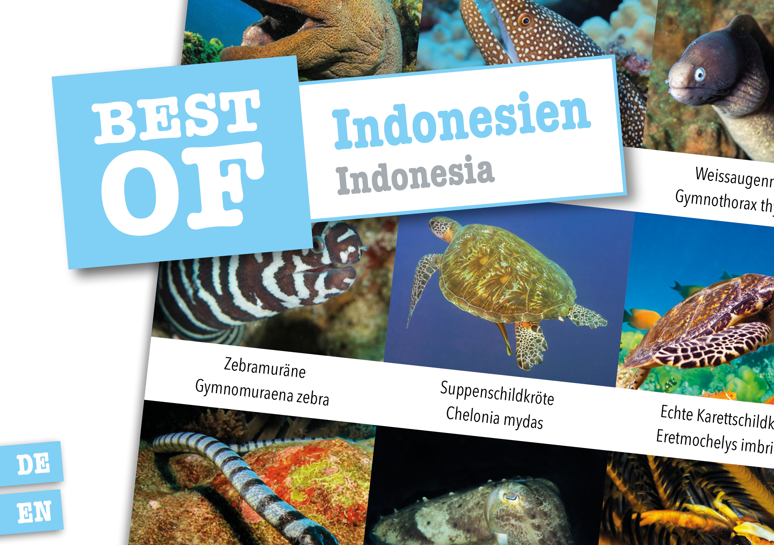 Dive Sticker Indonesien